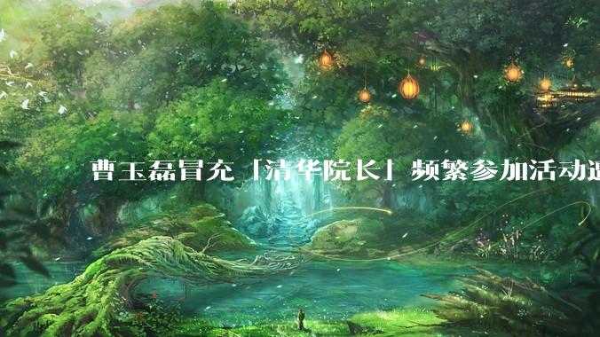 曹玉磊冒充「清华院长」频繁参加活动遭官方打***，他为何能堂而皇之以***身份开展活动？其将受到哪些处罚？