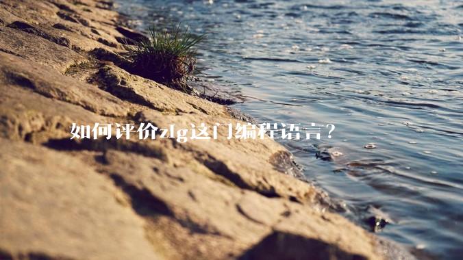 如何评价zig这门编程语言？
